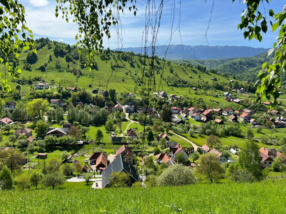 Vila Monica Bran  Eksteriør bilde